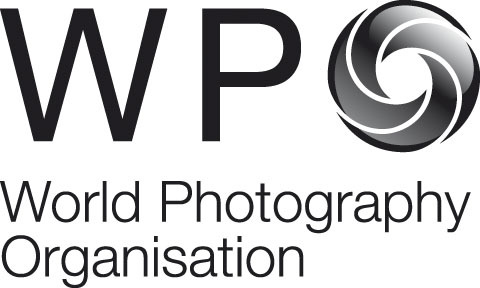 WPO_Logo exploration